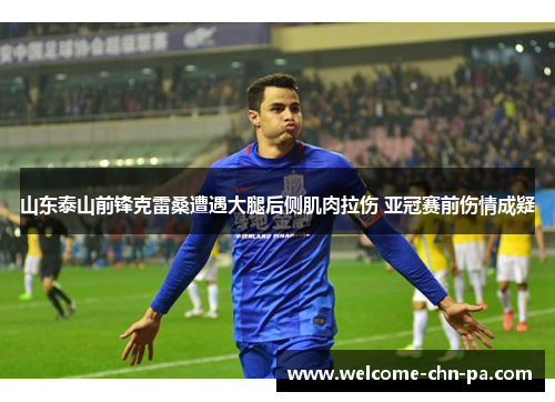 山东泰山前锋克雷桑遭遇大腿后侧肌肉拉伤 亚冠赛前伤情成疑 山东泰山前锋克雷桑遭遇大腿后侧肌肉拉伤 亚冠赛前伤情成疑